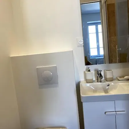 Appartement Studio Cocon Avec Mezzanine Clermont-Ferrand