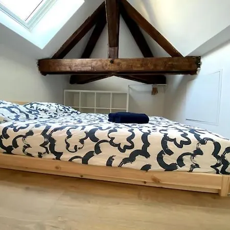 Appartement Studio Cocon Avec Mezzanine *