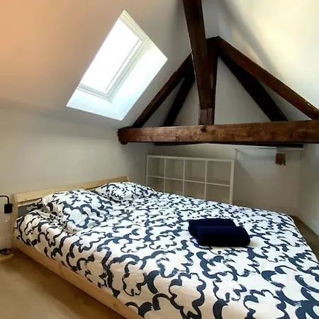 Appartement Studio Cocon Avec Mezzanine