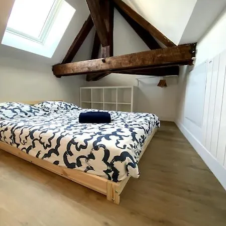 Studio Cocon Avec Mezzanine Appartement Clermont-Ferrand